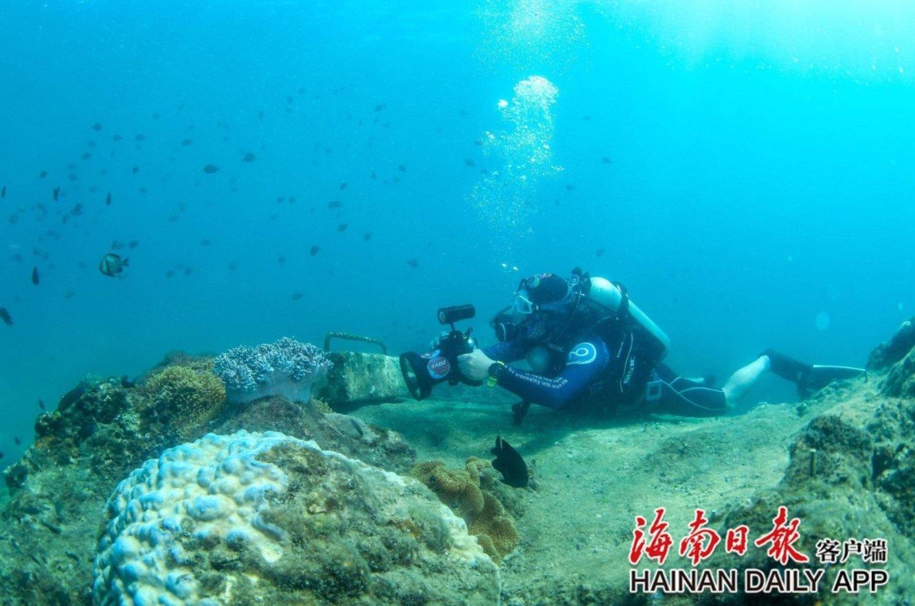 国家卫健委发文宣布命名100个全国医养结合示范县和99个全国医养结合示范机构